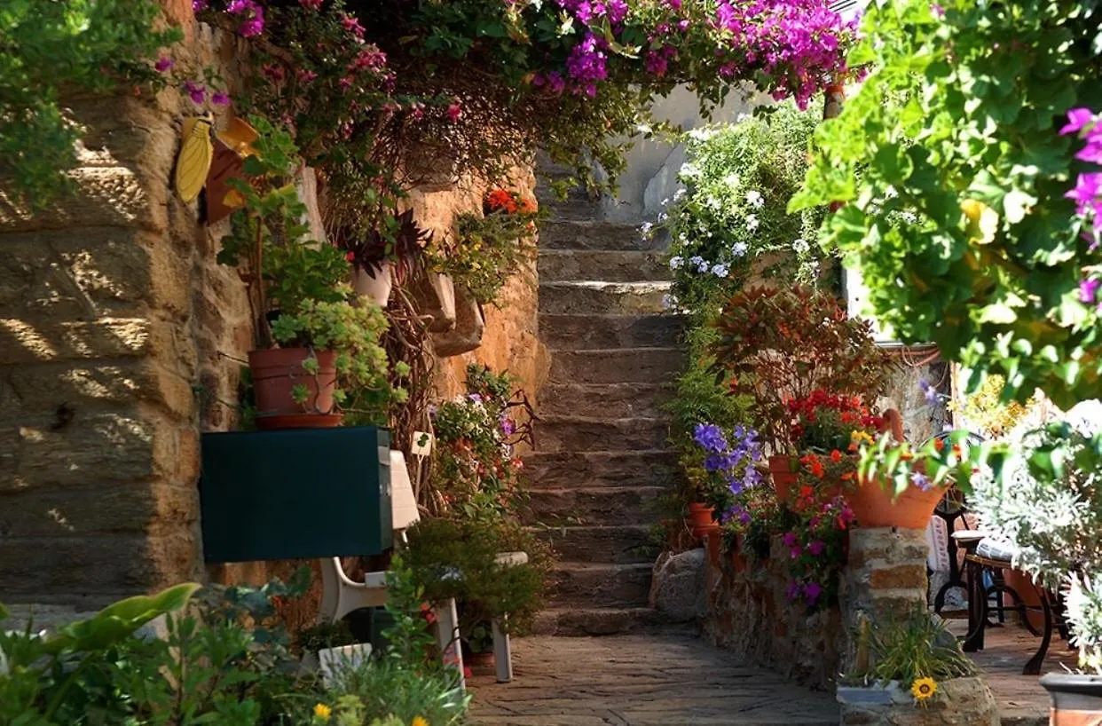 Studio Cosy & Zen Hyeres Centre